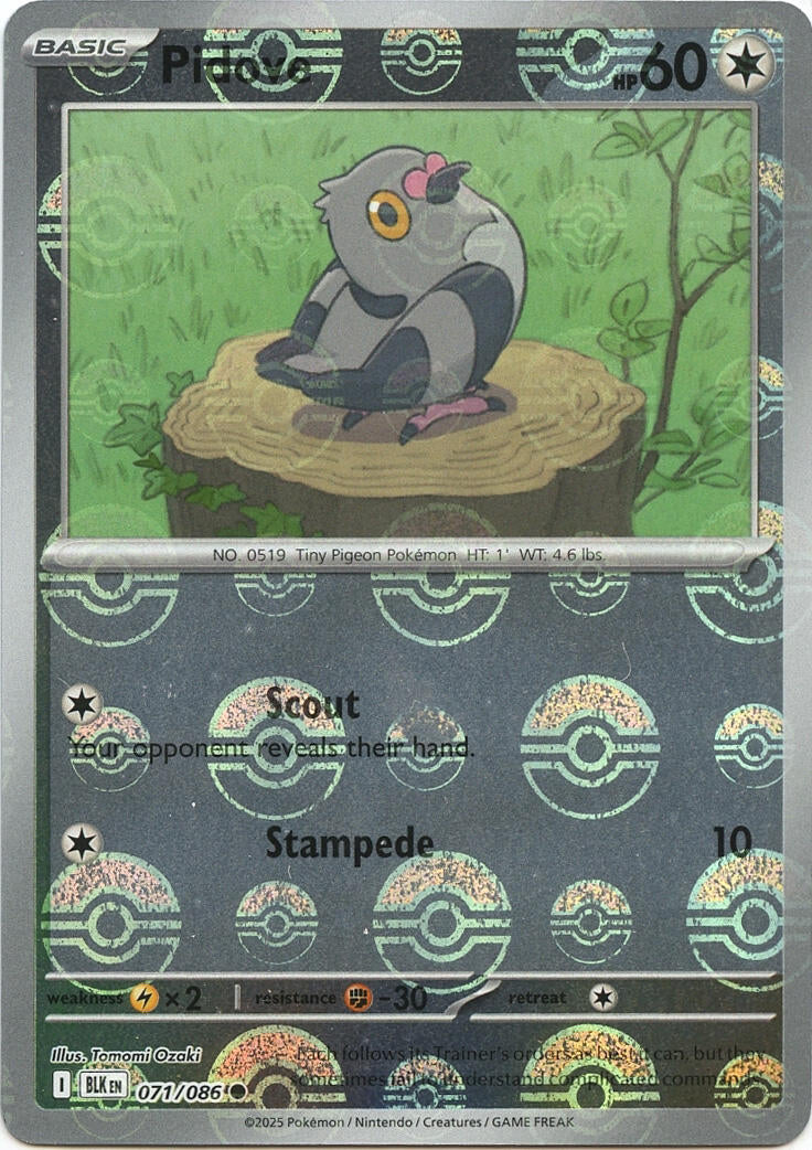 Pidove (Poke Ball Pattern)