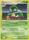 Torterra