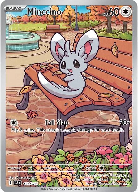 Minccino - 152/086