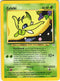 Celebi (16)