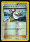 Professor Birch's Observations
