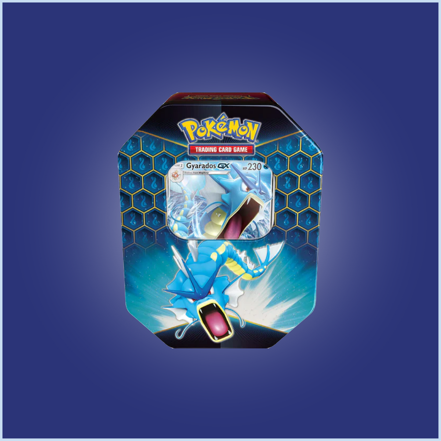 POKEMON TCG Hidden Fates Tin