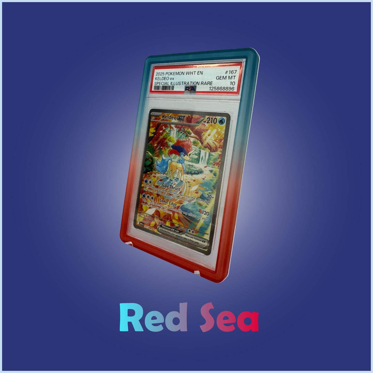 PSA Card Bumpers Protectors slabs